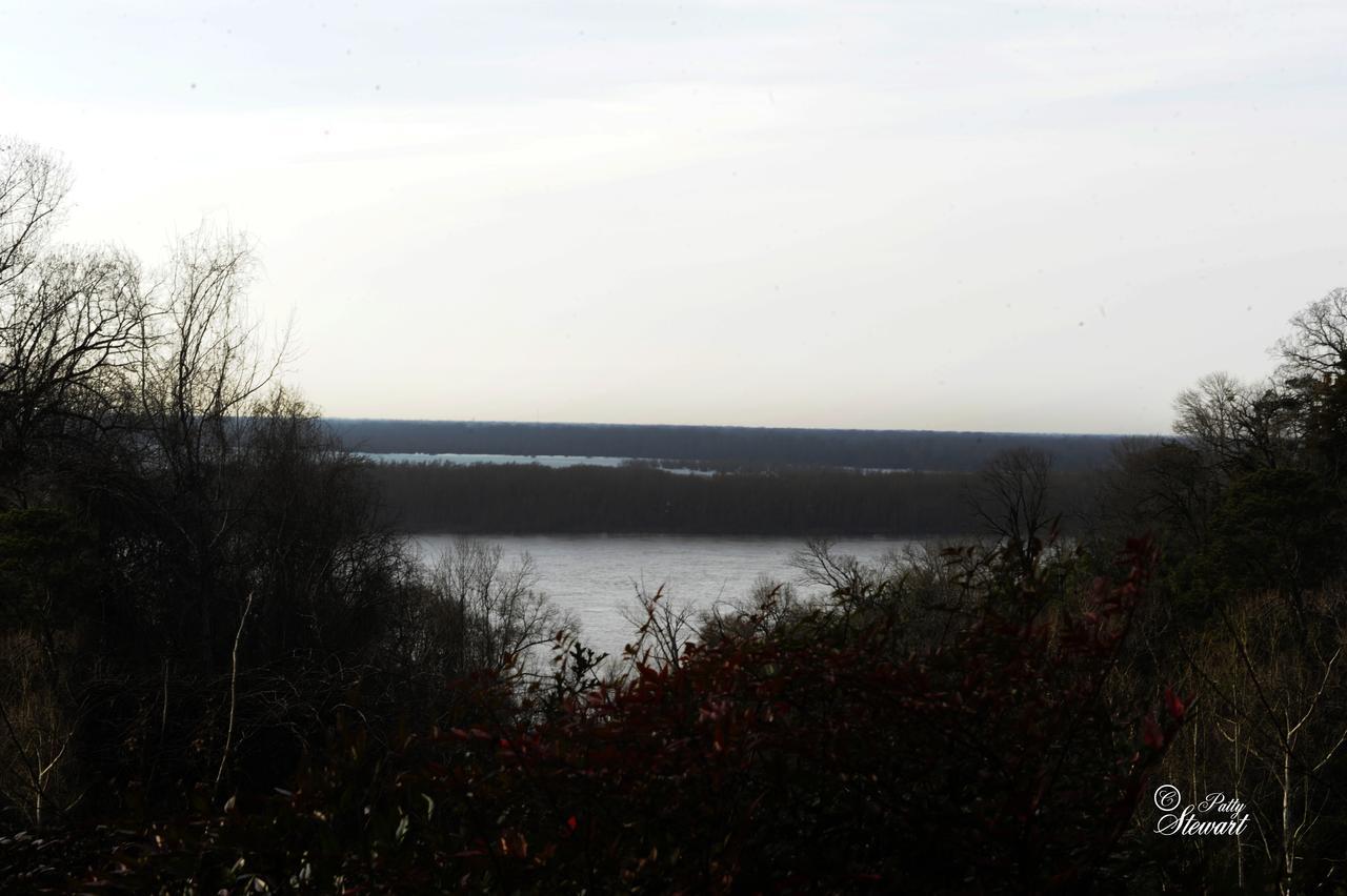 Clermont Bluffs Bed & Breakfast Natchez Exterior foto